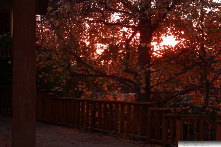 IMG_3823 - Version 2